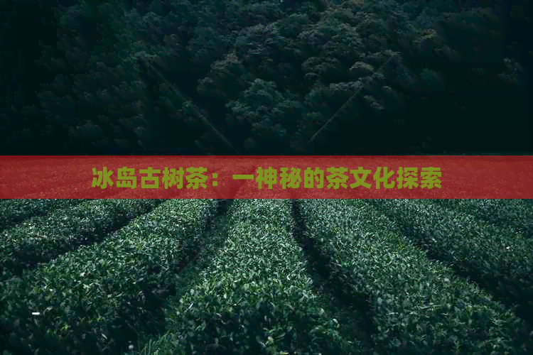 冰岛古树茶：一神秘的茶文化探索