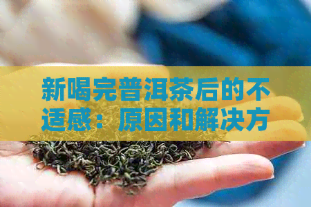 新喝完普洱茶后的不适感：原因和解决方法探讨