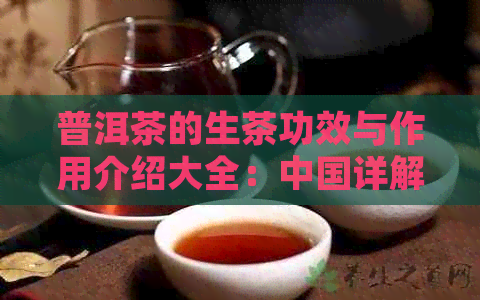 普洱茶的生茶功效与作用介绍大全：中国详解普洱生茶的作用和功效