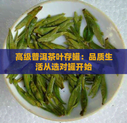 高级普洱茶叶存罐：品质生活从选对罐开始