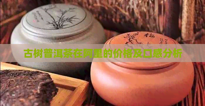 古树普洱茶在阿里的价格及口感分析