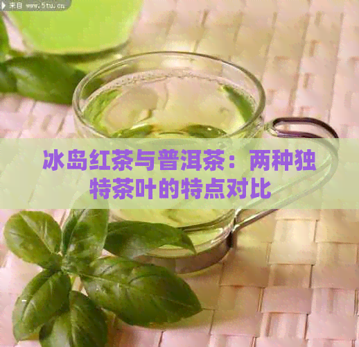 冰岛红茶与普洱茶：两种独特茶叶的特点对比