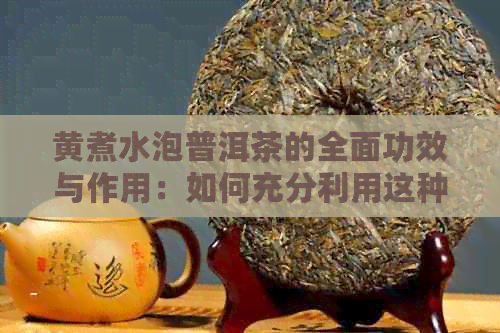 黄煮水泡普洱茶的全面功效与作用：如何充分利用这种天然饮品的健益处