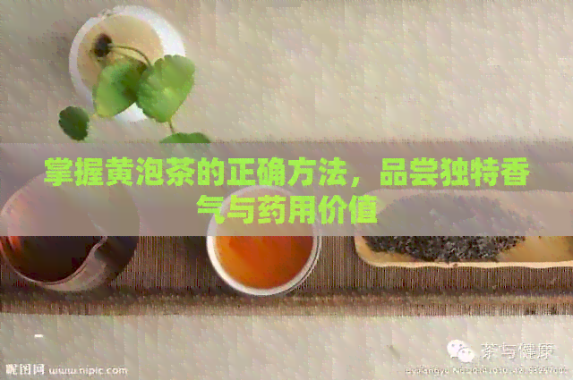 掌握黄泡茶的正确方法，品尝独特香气与药用价值