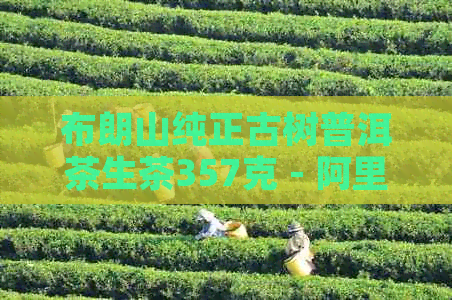 布朗山纯正古树普洱茶生茶357克 - 阿里批发价实，品质上乘