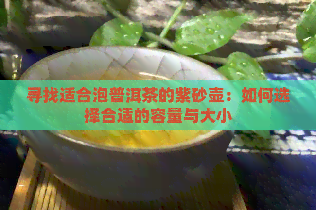 寻找适合泡普洱茶的紫砂壶：如何选择合适的容量与大小