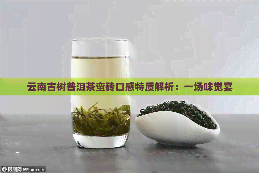 云南古树普洱茶蛮砖口感特质解析：一场味觉宴