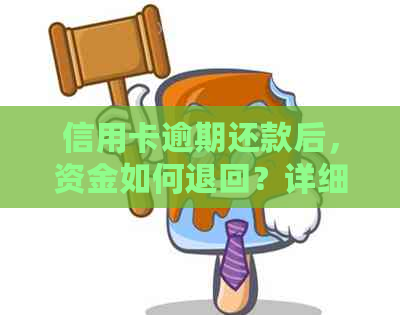 信用卡逾期还款后，资金如何退回？详细操作指南及退款方式解析