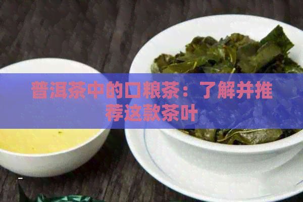 普洱茶中的口粮茶：了解并推荐这款茶叶