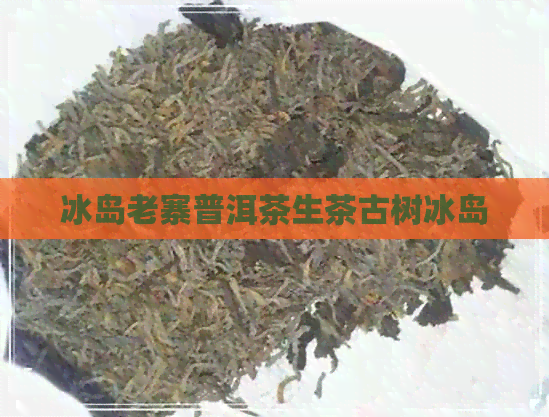 冰岛老寨普洱茶生茶古树冰岛