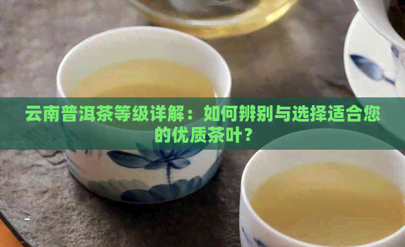 云南普洱茶等级详解：如何辨别与选择适合您的优质茶叶？