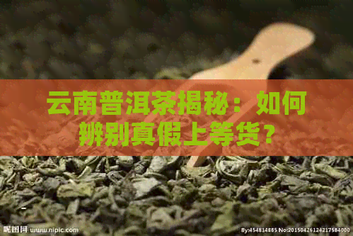 云南普洱茶揭秘：如何辨别真假上等货？