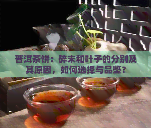 普洱茶饼：碎末和叶子的分别及其原因，如何选择与品鉴？