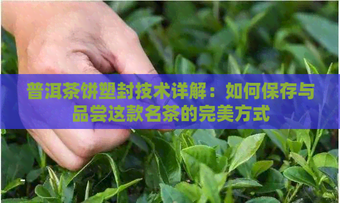 普洱茶饼塑封技术详解：如何保存与品尝这款名茶的完美方式