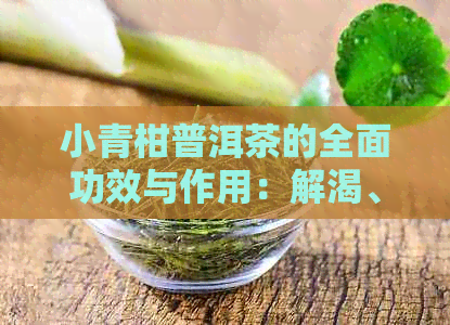 小青柑普洱茶的全面功效与作用：解渴、助消化、提神醒脑等多重好处