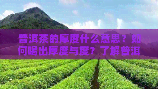 普洱茶的厚度什么意思？如何喝出厚度与度？了解普洱茶的厚重表现。