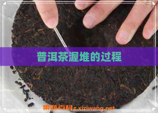 普洱茶渥堆的过程