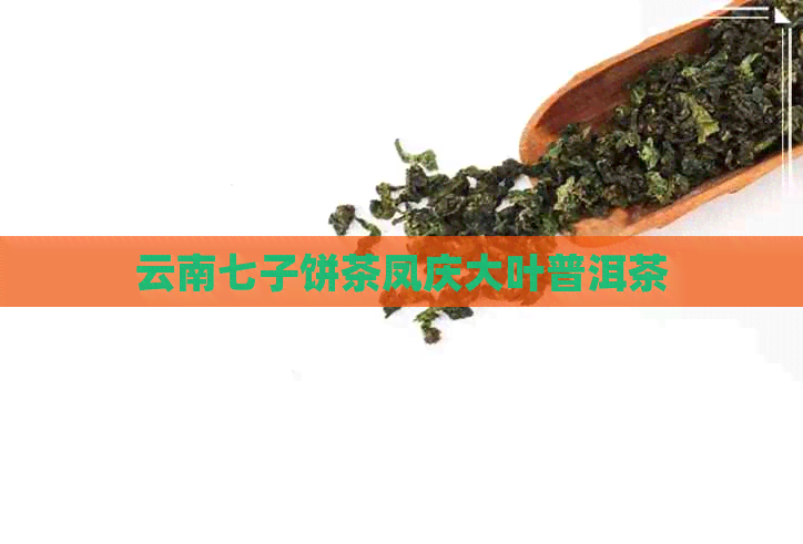 云南七子饼茶凤庆大叶普洱茶