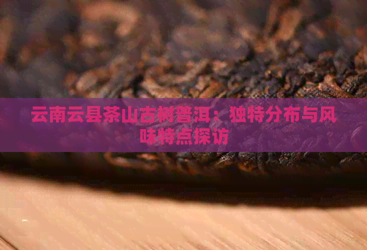 云南云县茶山古树普洱：独特分布与风味特点探访