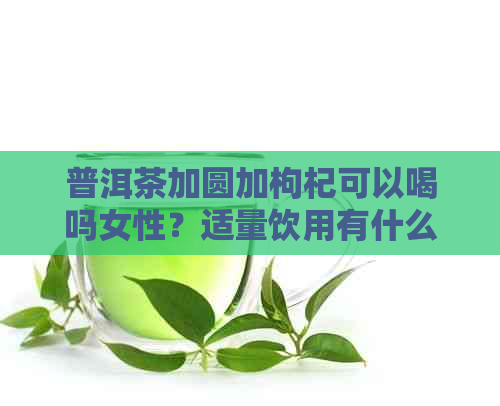 普洱茶加圆加枸杞可以喝吗女性？适量饮用有什么好处？