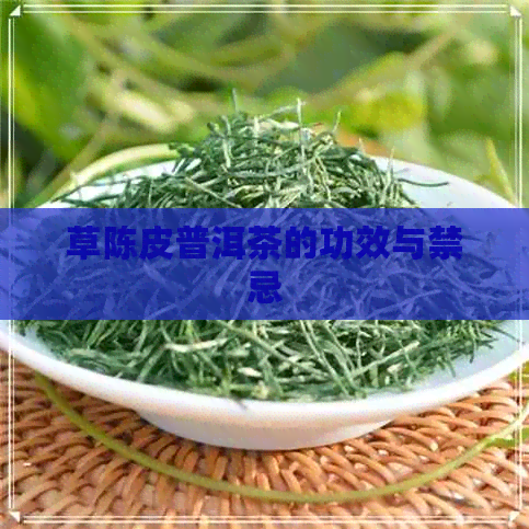 草陈皮普洱茶的功效与禁忌