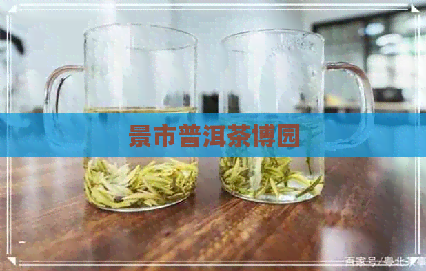 景市普洱茶博园