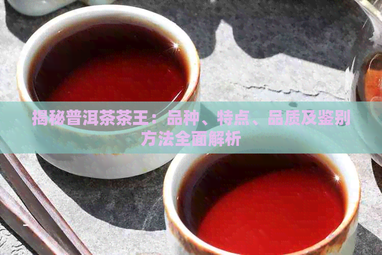 揭秘普洱茶茶王：品种、特点、品质及鉴别方法全面解析