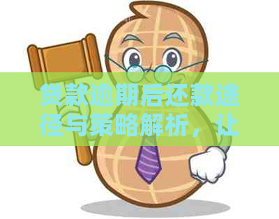 贷款逾期后还款途径与策略解析，让你轻松解决还款难题