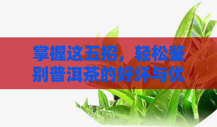 掌握这五招，轻松鉴别普洱茶的好坏与优劣