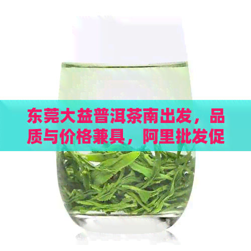 东莞大益普洱茶南出发，品质与价格兼具，阿里批发促销中！