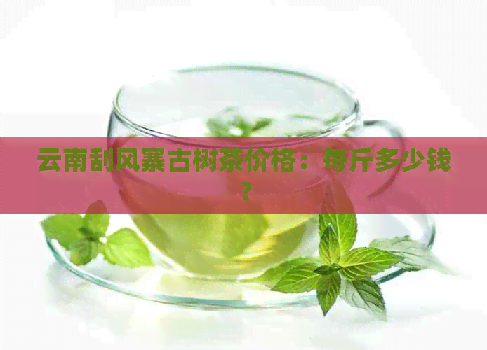 云南刮风寨古树茶价格：每斤多少钱？