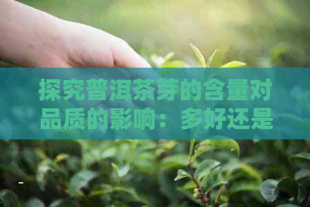 探究普洱茶芽的含量对品质的影响：多好还是少好？