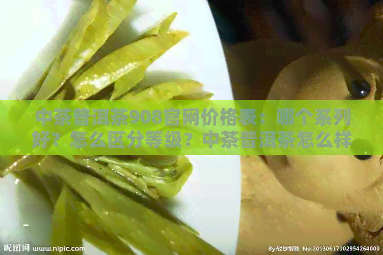 中茶普洱茶908官网价格表：哪个系列好？怎么区分等级？中茶普洱茶怎么样？