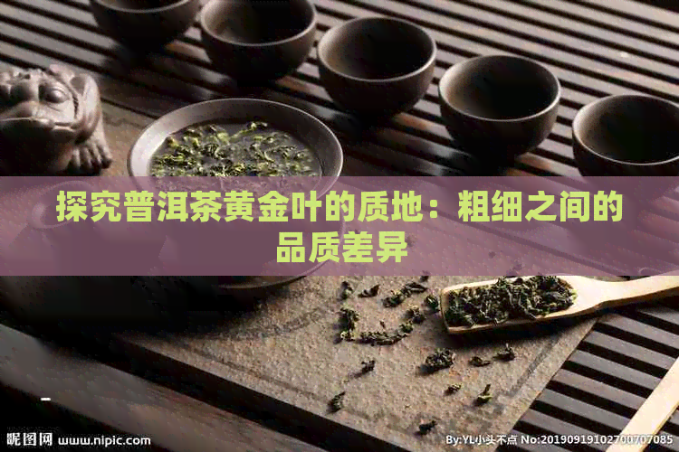 探究普洱茶黄金叶的质地：粗细之间的品质差异