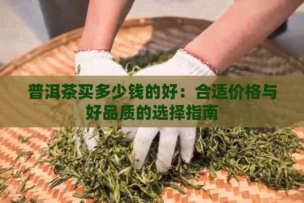 普洱茶买多少钱的好：合适价格与好品质的选择指南