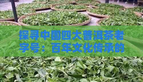 探寻中国四大普洱茶老字号：百年文化传承的茶叶精髓