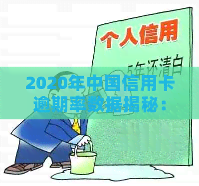 2020年中国信用卡逾期率数据揭秘：全国范围内的逾期现象调查与分析