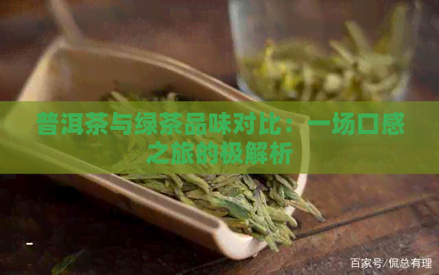 普洱茶与绿茶品味对比：一场口感之旅的极解析