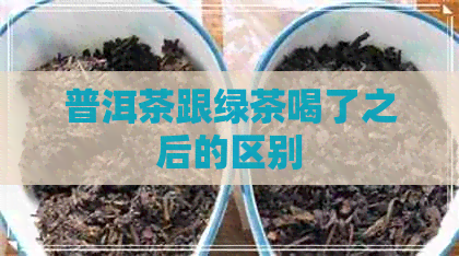 普洱茶跟绿茶喝了之后的区别