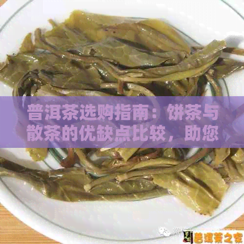 普洱茶选购指南：饼茶与散茶的优缺点比较，助您轻松选择最适合的茶叶类型