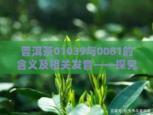 普洱茶01039与0081的含义及相关发音——探究普洱茶编号系统