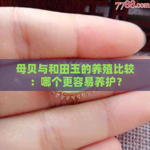 母贝与和田玉的养殖比较：哪个更容易养护？