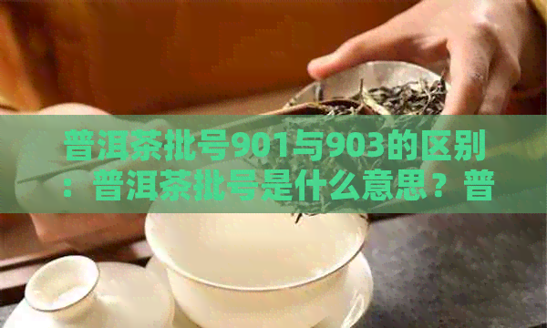 普洱茶批号901与903的区别：普洱茶批号是什么意思？普洱茶编码与批号解析。