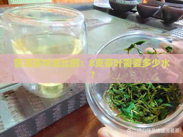 普洱茶冲泡比例：8克茶叶需要多少水？