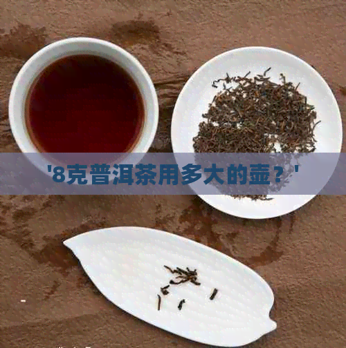 '8克普洱茶用多大的壶？'