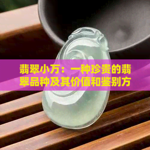 翡翠小万：一种珍贵的翡翠品种及其价值和鉴别方法解析