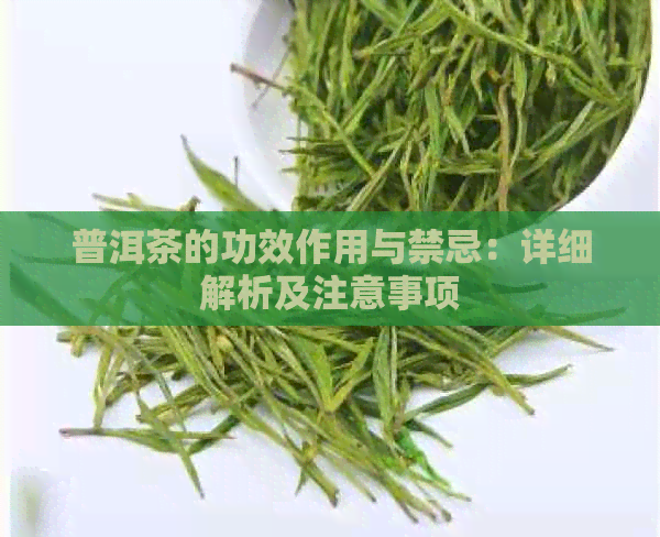 普洱茶的功效作用与禁忌：详细解析及注意事项