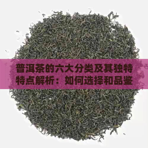 普洱茶的六大分类及其独特特点解析：如何选择和品鉴？