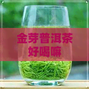 金芽普洱茶好喝嘛