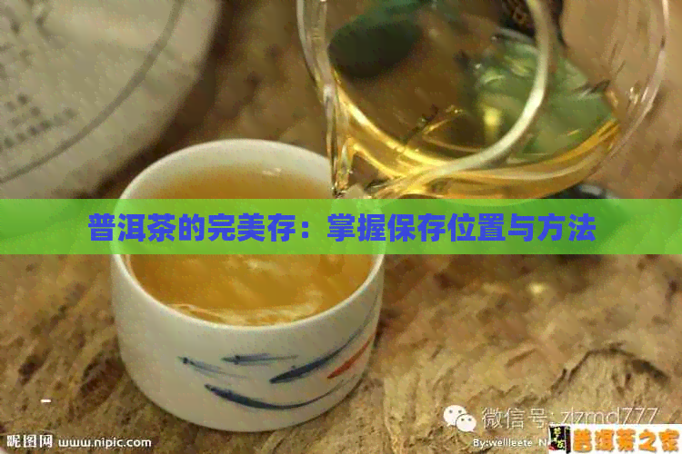 普洱茶的完美存：掌握保存位置与方法